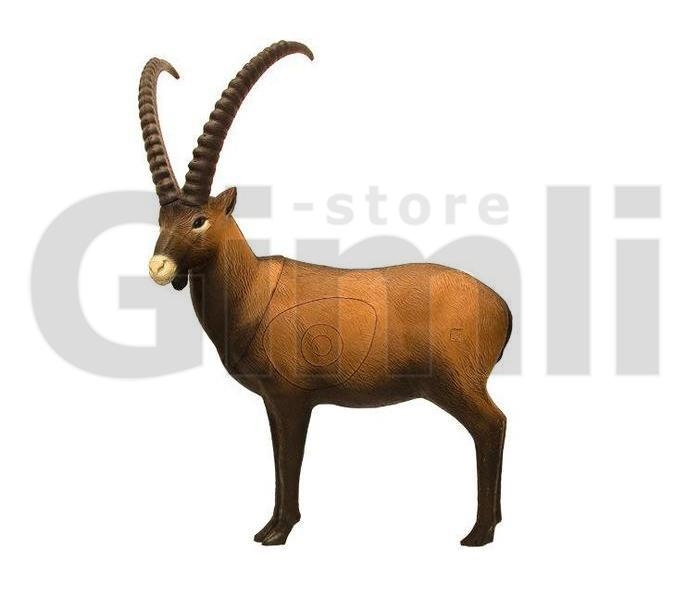 SRT Target 3D Ibex